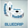 BlueDrip